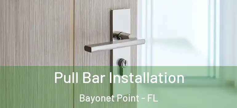 Pull Bar Installation Bayonet Point - FL