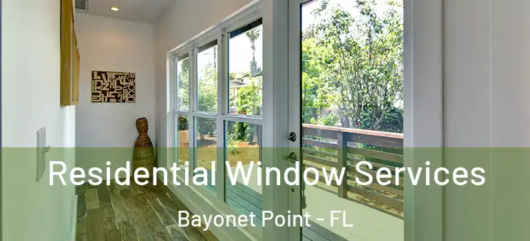 Residential Window Services Bayonet Point - FL
