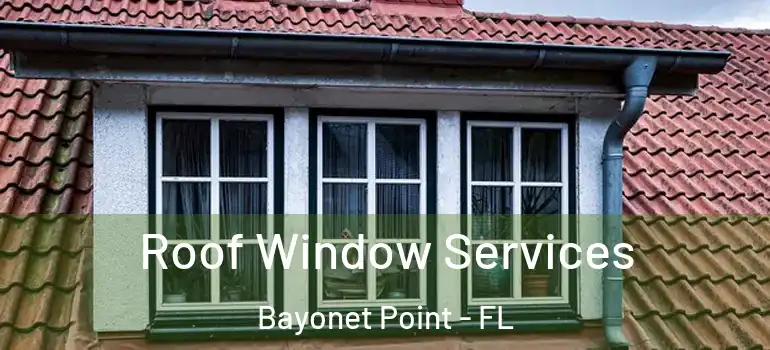 Roof Window Services Bayonet Point - FL