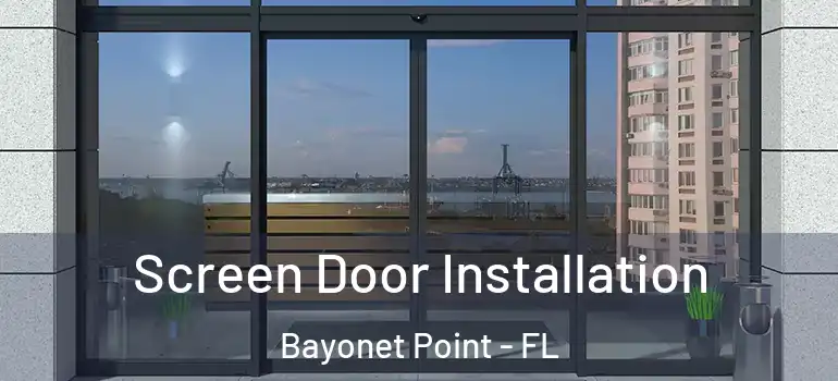 Screen Door Installation Bayonet Point - FL