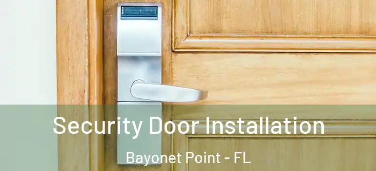 Security Door Installation Bayonet Point - FL