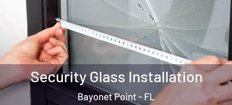 Security Glass Installation Bayonet Point - FL