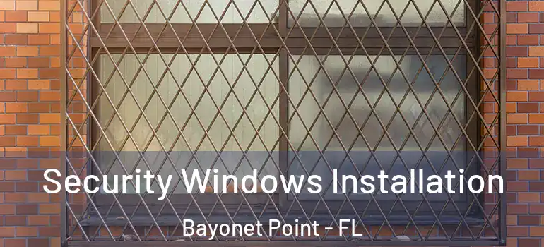 Security Windows Installation Bayonet Point - FL