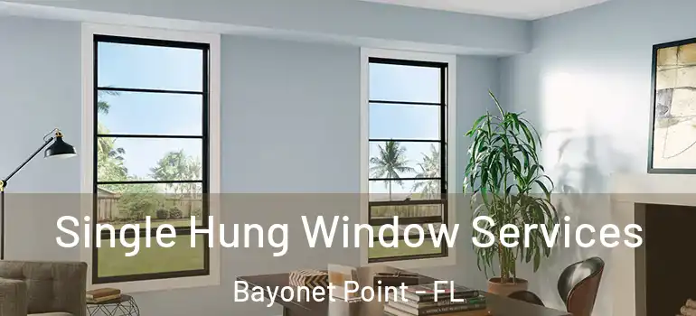  Single Hung Window Services Bayonet Point - FL