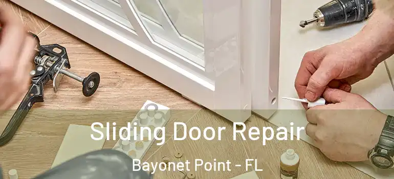 Sliding Door Repair Bayonet Point - FL