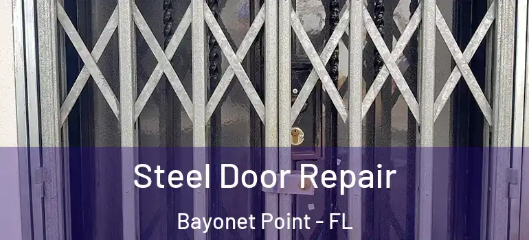 Steel Door Repair Bayonet Point - FL