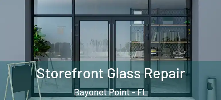 Storefront Glass Repair Bayonet Point - FL