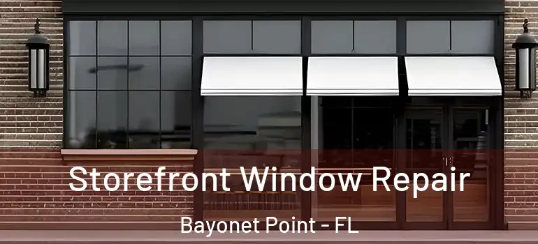 Storefront Window Repair Bayonet Point - FL