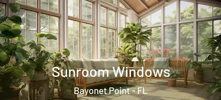 Sunroom Windows Bayonet Point - FL