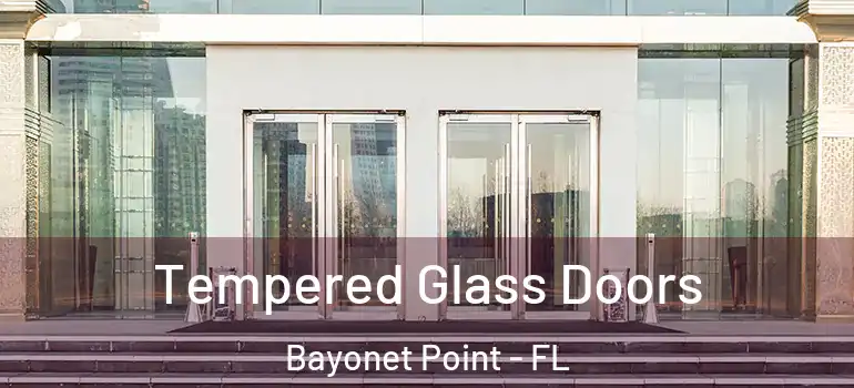  Tempered Glass Doors Bayonet Point - FL