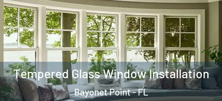 Tempered Glass Window Installation Bayonet Point - FL
