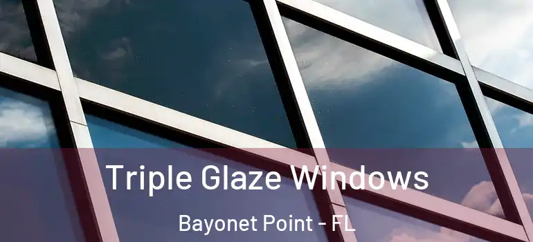 Triple Glaze Windows Bayonet Point - FL