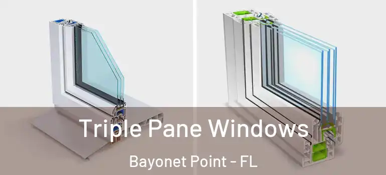 Triple Pane Windows Bayonet Point - FL