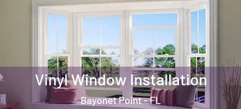 Vinyl Window Installation Bayonet Point - FL