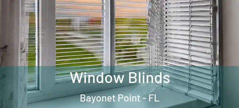 Window Blinds Bayonet Point - FL