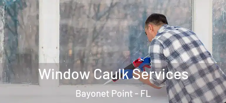  Window Caulk Services Bayonet Point - FL