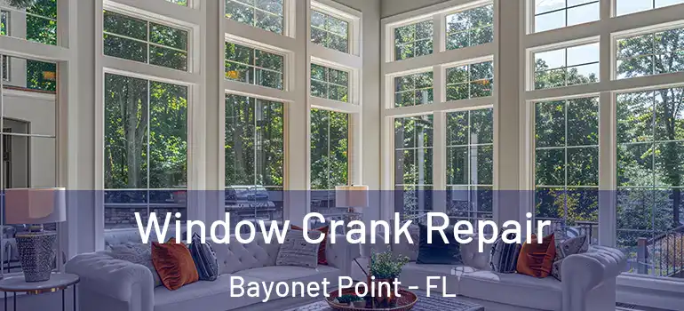 Window Crank Repair Bayonet Point - FL