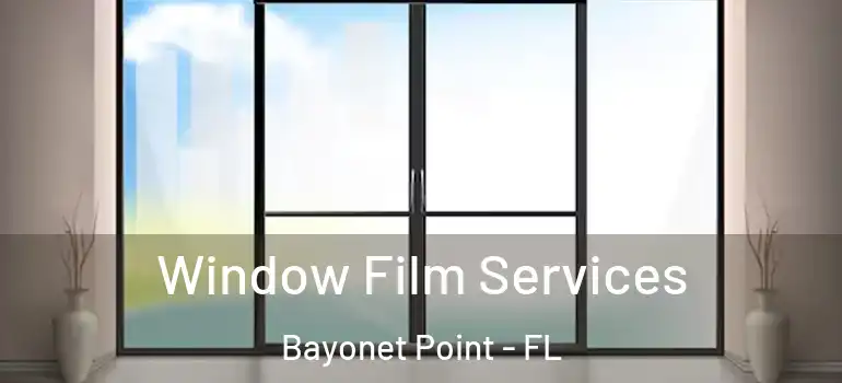 Window Film Services Bayonet Point - FL