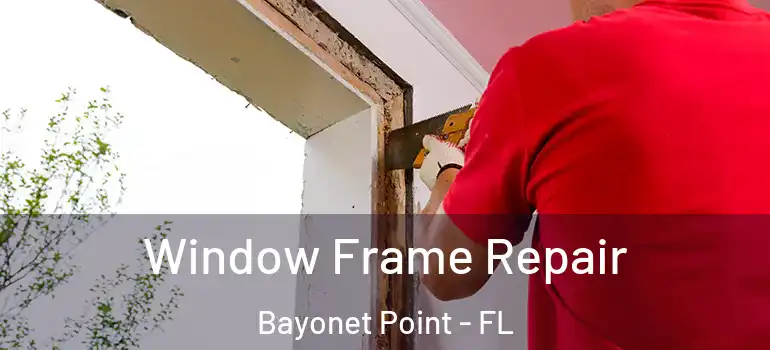Window Frame Repair Bayonet Point - FL