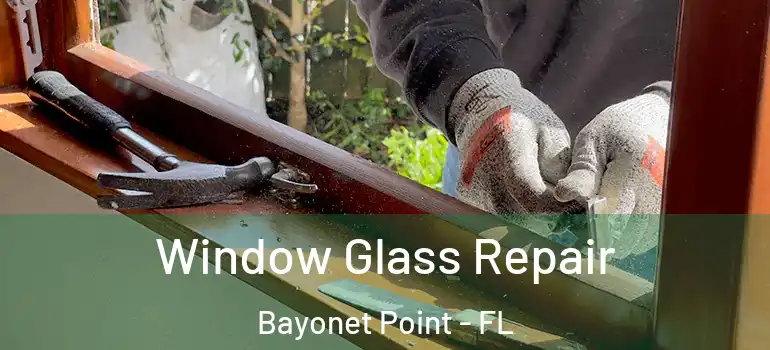 Window Glass Repair Bayonet Point - FL