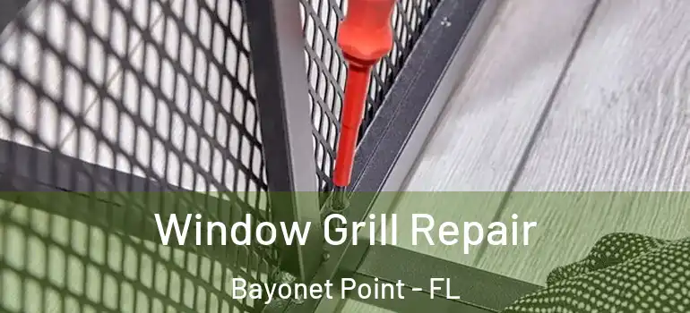 Window Grill Repair Bayonet Point - FL