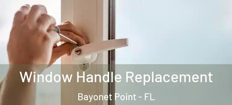 Window Handle Replacement Bayonet Point - FL