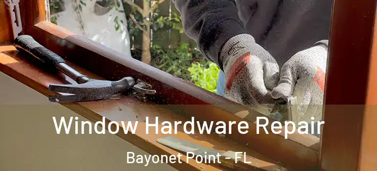  Window Hardware Repair Bayonet Point - FL