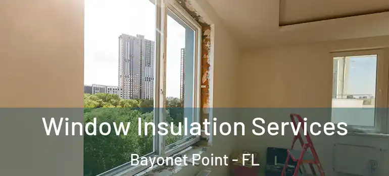  Window Insulation Services Bayonet Point - FL