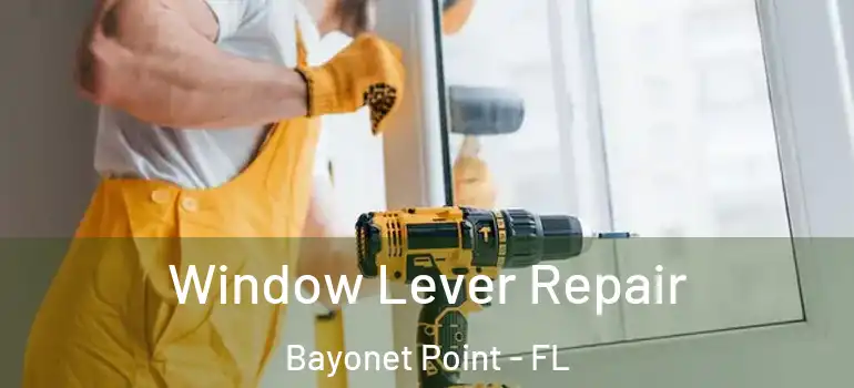 Window Lever Repair Bayonet Point - FL