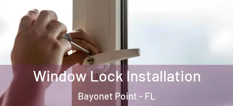 Window Lock Installation Bayonet Point - FL