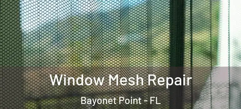 Window Mesh Repair Bayonet Point - FL