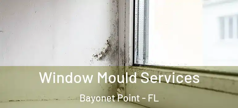 Window Mould Services Bayonet Point - FL