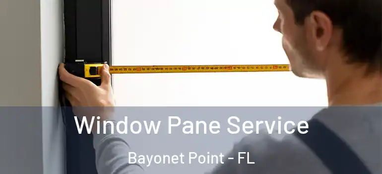 Window Pane Service Bayonet Point - FL