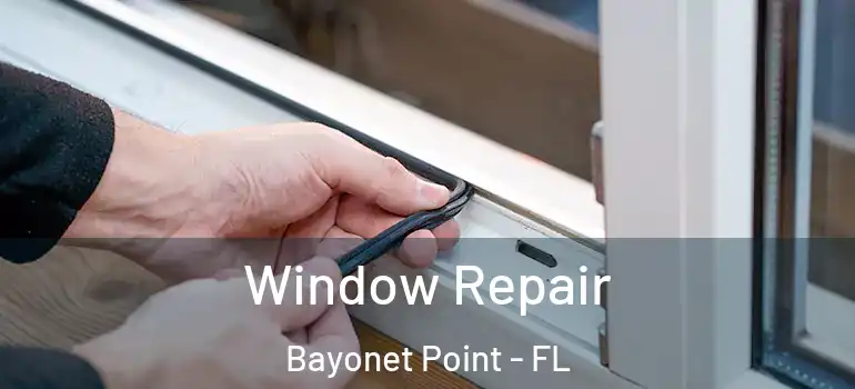 Window Repair Bayonet Point - FL
