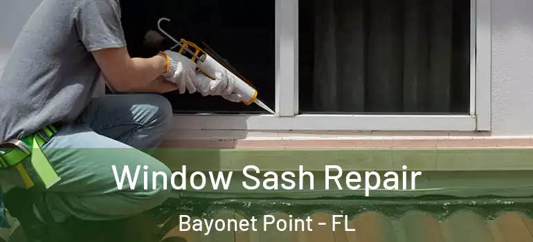Window Sash Repair Bayonet Point - FL