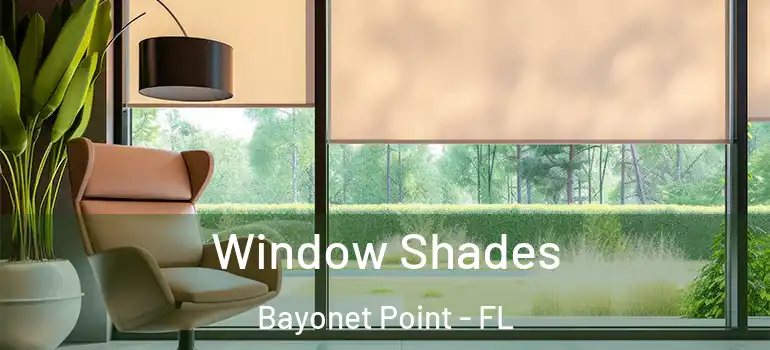  Window Shades Bayonet Point - FL