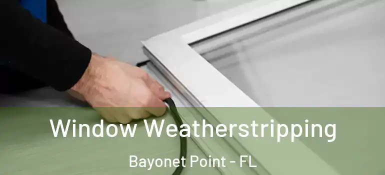  Window Weatherstripping Bayonet Point - FL