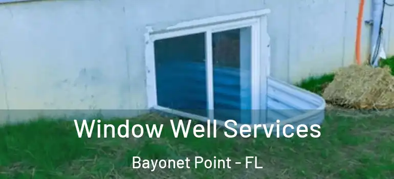Window Well Services Bayonet Point - FL